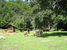 slika_009