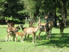 slika_010