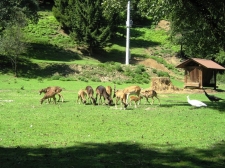 slika_012