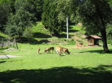 slika_013