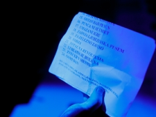 PANKRTI V STOŽICAH - Valter Leban-8307