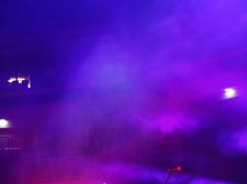 PANKRTI V STOŽICAH - Valter Leban-8443