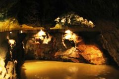 Pivka pokazala do kje se lahko dvigne