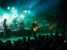 PIXIES - Valter Leban-8381