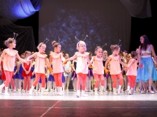 Čebelice Log poklon