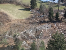 helikopter_zled2014_334