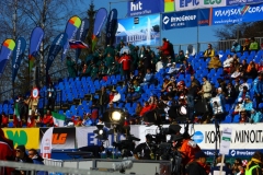 Pokal Vitran 2009