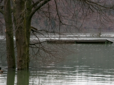 planina_poplave_19-2-2014_-_valter_leban-0649