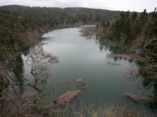 rakov_skocian_poplava_19-2-2014_-_valter_leban-0346