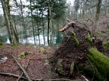 rakov_skocian_poplava_19-2-2014_-_valter_leban-0367