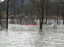 poplave-2009-40