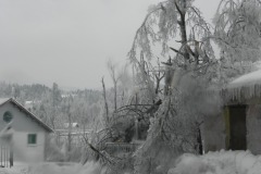 Postojna 2. februar