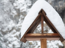 predjamski_grad_zima__-_valter_leban-1011