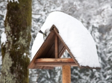 predjamski_grad_zima__-_valter_leban-1015