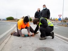 PVZ-TRANSPORT-POLICIJSKEGS-COLNA-21-11-2021-6771