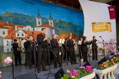 Prijatelji ostanimo prijatelji 2009