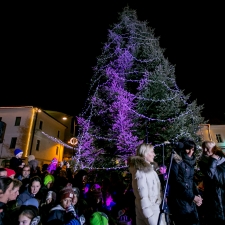 prizig_luck_in_otvoritev_drsalisca-009