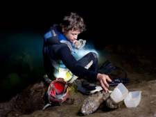 PROTEUS-PLANINSKA-JAMA-2016-002