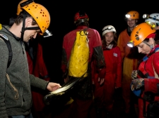 PROTEUS-PLANINSKA-JAMA-2016-003