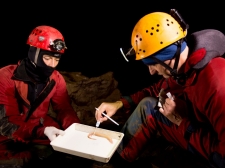 PROTEUS-PLANINSKA-JAMA-2016-060