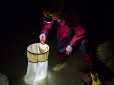 PROTEUS-PLANINSKA-JAMA-2016-079