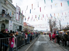 pust-2015-017