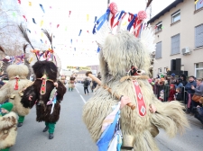 PUST-025-FOTO-LJUBO-VUKELIC