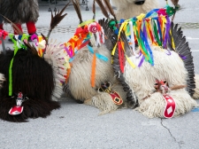 pust_postojna_2014_-_valter_leban-4531