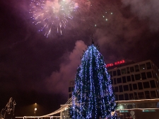 nl-2010-010