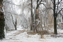 skrita-ice-age-ledena-doba-v-postojni-foto-valter-leban