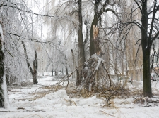 zled_postojna_web_-_valter_leban-2994