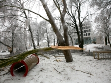 zled_postojna_web_-_valter_leban-3009