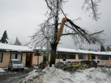 zled_postojna_web_-_valter_leban-3042