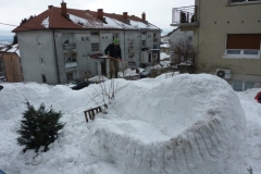 Snežaki