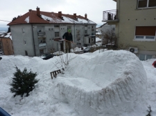 piko-dinozaver-zmaj-01