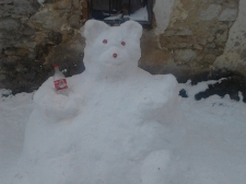 snezni_medo-01