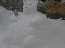 snezni_medo-02