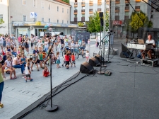 ALI-NIKOLIC-SPREJEM-VL-8940