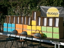 3_dobri_mozje_1_-_valter_leban-6953