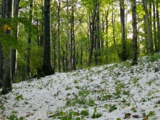 zima_2010-2011-02