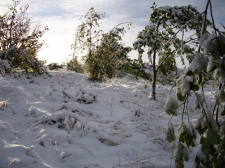 zima_2010-2011-03