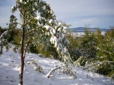 zima_2010-2011-04