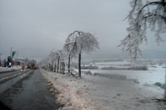Zima in žled v Postojni