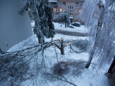 zled_postojna_-_valter_leban-2934