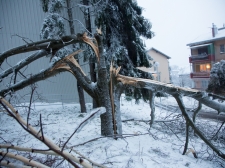 zled_postojna_-_valter_leban-2945