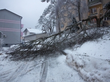 zled_postojna_-_valter_leban-2953