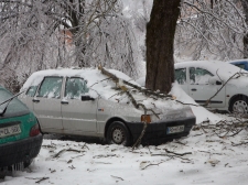 zled_postojna_-_valter_leban-2964