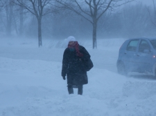 zima_-_valter_leban-6718