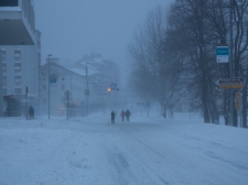 zima_-_valter_leban-6751