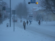 zima_-_valter_leban-6775